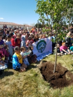 Planting a tree on Arbor Day at La Junta Primary School.